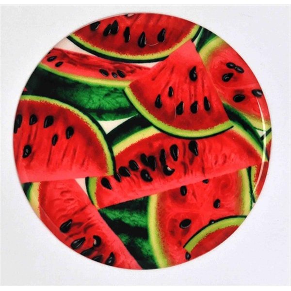 Andreas 10 in Watermelon Silicone Trivet 3PK TRT242
